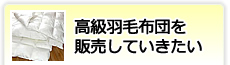 高級羽毛布団を販売していきたい