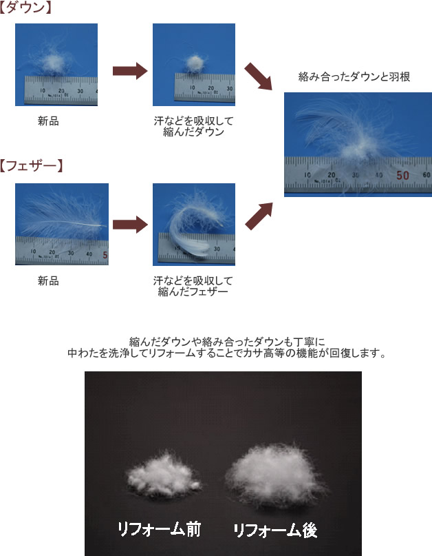 羽毛布団 リフォーム
