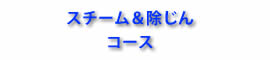 スチーム&除じんコース